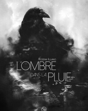 L'Ombre dans la pluie - broché Lulu